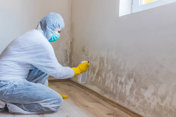 Bathroom Mold Removal assessment in Clinton bathroom