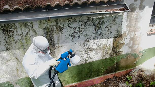 Mold Remediation service in Clinton, Clinton, NC